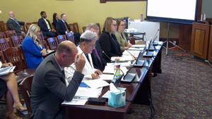 WATCH: IL Department of Human Services’ adverse audit draws legislators’ ire