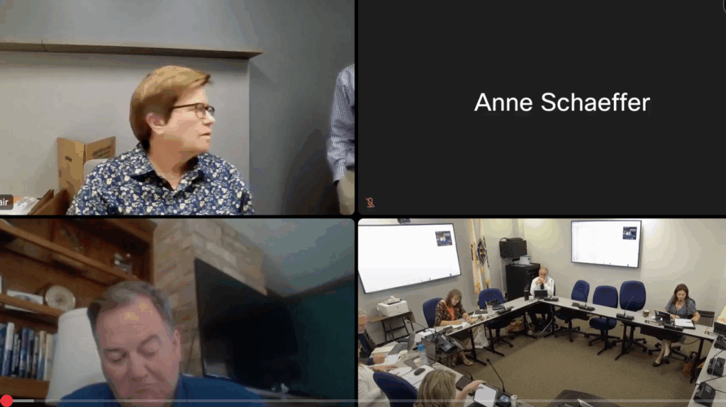 Will-County-Legislative-Committee-Meeting-July-1-2025 Will-County-Legislative-Committee-Meeting-July-1-2025