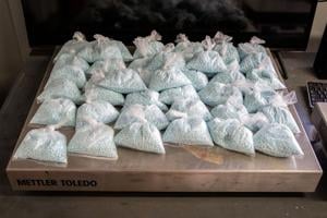 DEA surge nets drugs, 617 arrests, 420 firearms, $11 million in cash DEA surge nets drugs, 617 arrests, 420 firearms, $11 million in cash