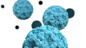 Will County Health Department Reports Rise in Respiratory Illnesses, Updates on Facility Issues