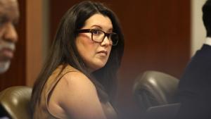 Illinois senators scrutinize diversity commission's high salaries, poor performance