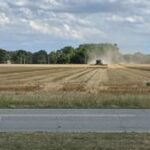 Illinois wheat harvest looks good despite storms
