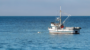 Fishermen advocate begins campaign against offshore wind, ‘industrializing’ of the ocean