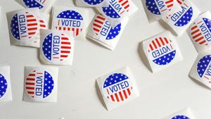 Shah, Feely to face off in battleground House race