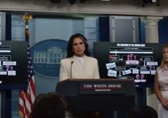 Security clearances of 37 former, current intel professionals revoked