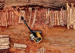 Exclusive: USDA distributing loans to Oregon, Nevada sawmills to expand timber production