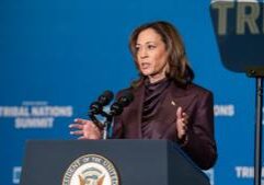 Support broadens beyond Harris, Newsom in Democratic primary poll