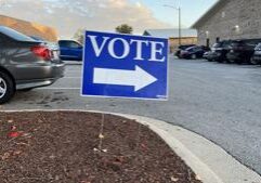 Voters to decide two statewide measures, nearly 100 local proposals