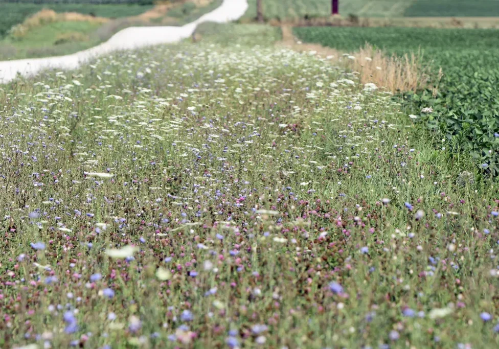 Green-Garden-Township-Graphic.1