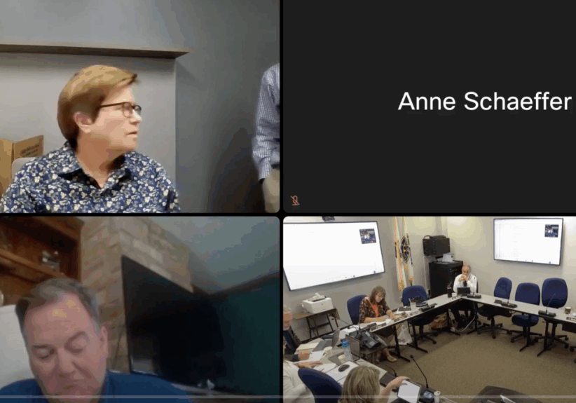 Will-County-Legislative-Committee-Meeting-July-1-2025 Will-County-Legislative-Committee-Meeting-July-1-2025