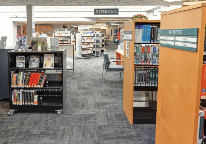 mokena library logo graphic.5