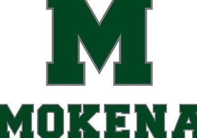 mokena school district 159.3